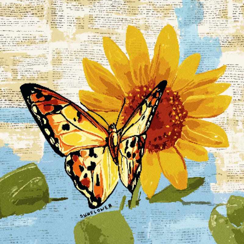

Choi Ho-rang - 1st Album: Sunflower