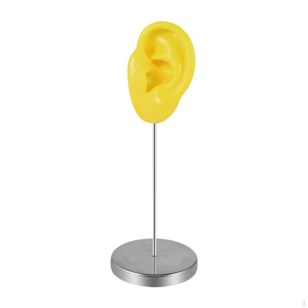 Part of The Body Silicone Ear Model, A Mannequin Earring