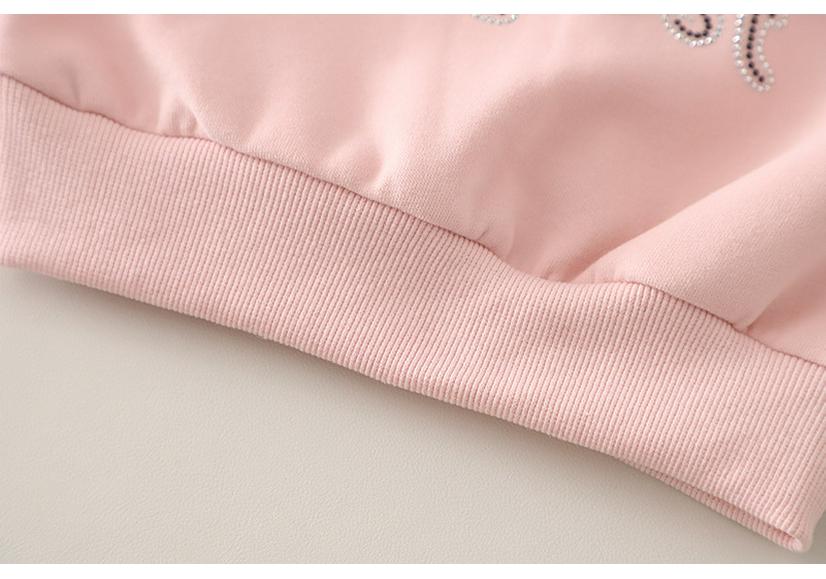 Korean Style Children's Spring/Autumn Long-Sleeve Hoodie Set for Girls - Street Style Casual Wear 2026