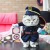 Popular Dog Christmas Halloween Dress Up Pirate Police Stand Up Dress Up Funny Dress Up Dog Dress Up