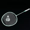 Green Mantis Sai Lion Beginner Badminton Racket