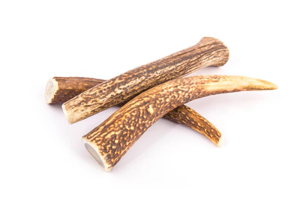 Deer Antler Chew Toy R-Line 4DOGS Size XXL Hard