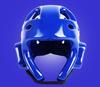 Professional Taekwondo & Karate Headgear with Face Shield and Ear Protection for Adults