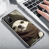 Chihuahua Puppy Teacup Dogs Case Phone Cover for Xiaomi Poco X3 Nfc X5 X6 X7 X4 Gt F7 Ultra F6 F5 Pro F4 F3 M5S M5 M4 M3 5G Tren