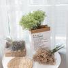 Gypsophila Artificial Flowers with Greenery - INS Style Home Decor (YC1072)