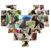 Outdoor Tactical Dog Collar Metal Buckle Breathability Nylon Collar Medium Dogs Suitable For All Breeds Adjustable And Durable