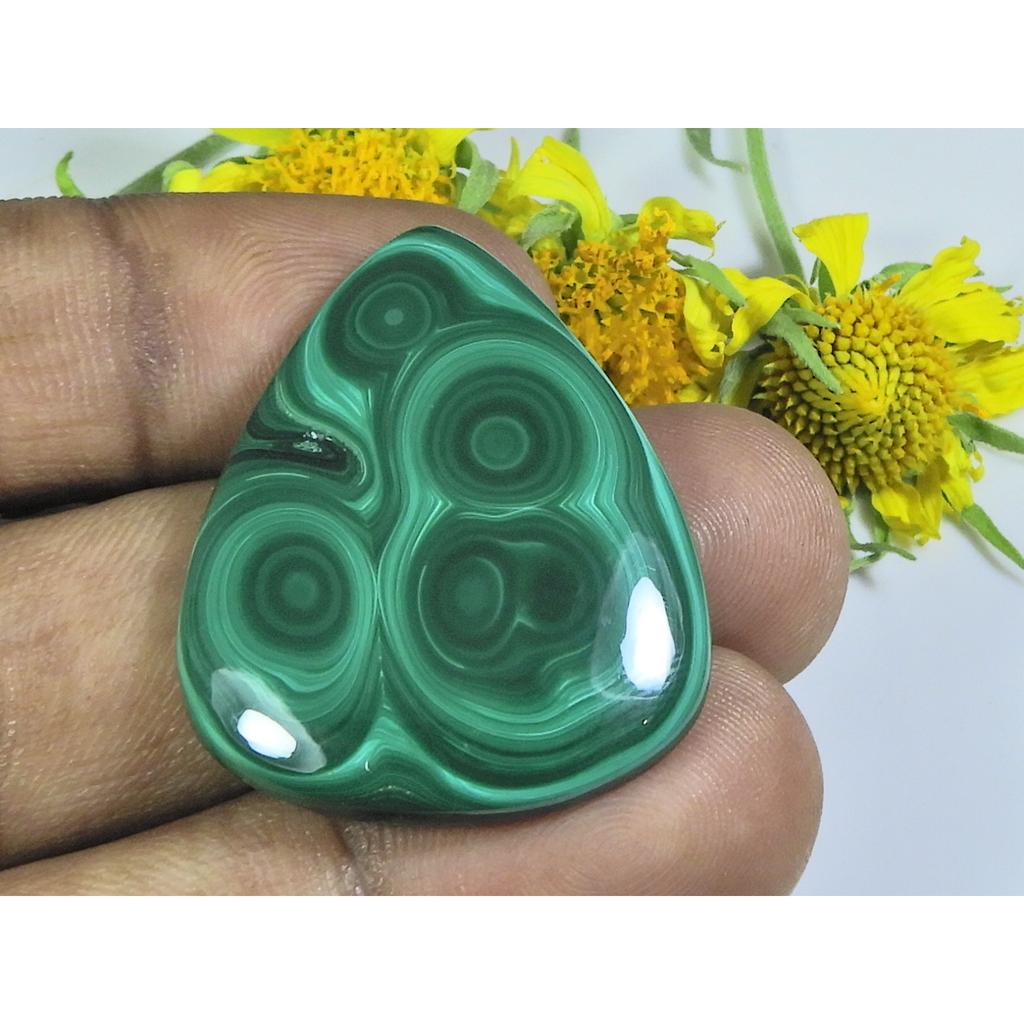 AA++ Natural Green Malachite Pear Cabochon Loose Gemstone 28X35X04MM 56Cts. D-17