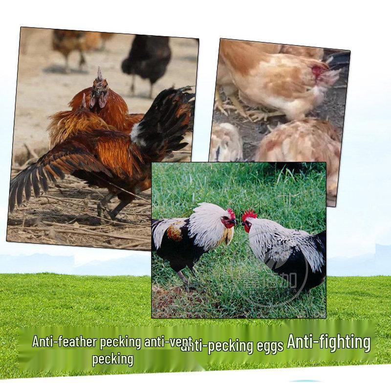 Large-Size Anti-Pecking Chicken Glasses - Free-Range Eye Mask To Prevent Rooster Fighting & Pecks
