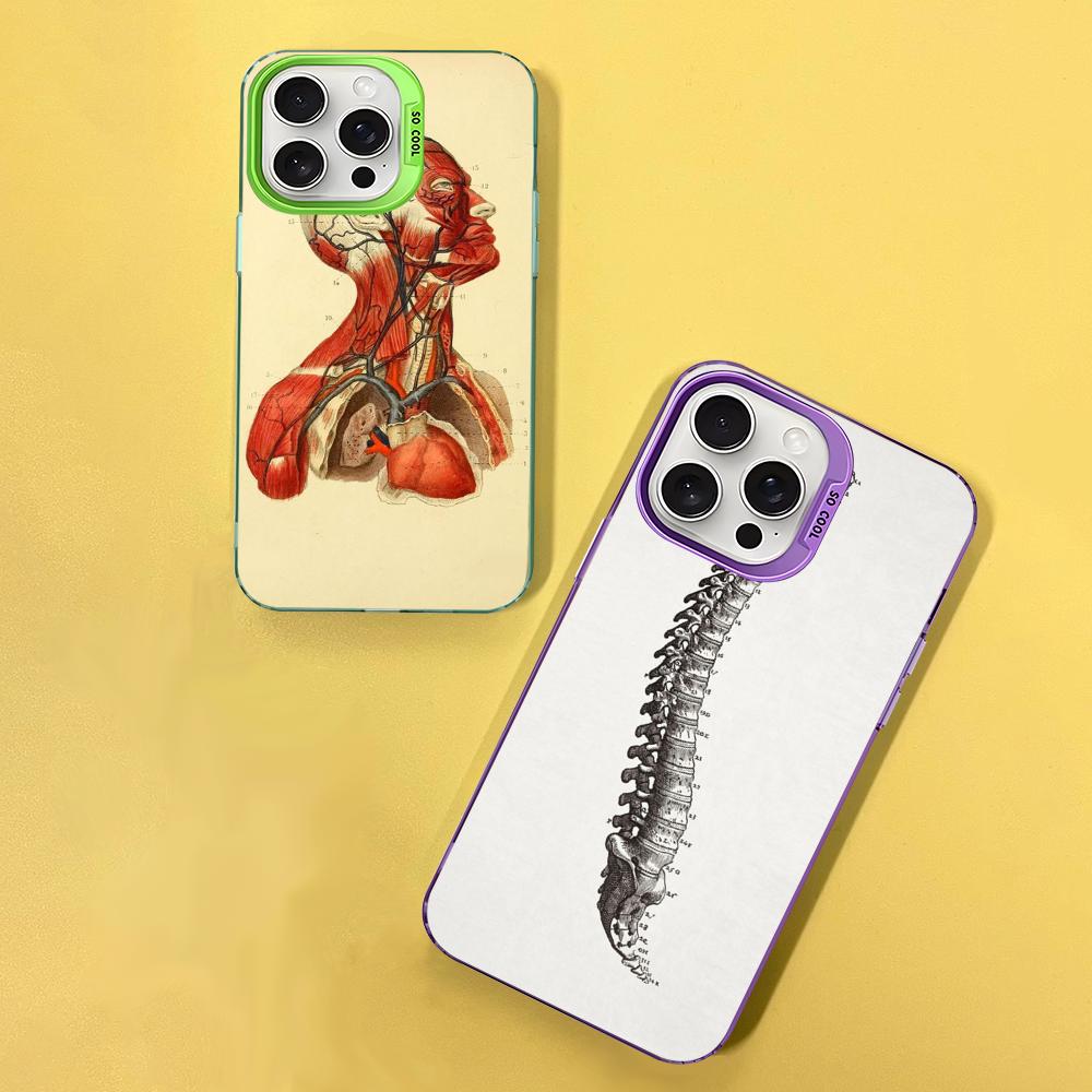 Medical Human Anatomy Phone Case For IPhone 16 15 14 13 12 11 Pro Max X XR XSMAX 8 7 Plus Matte Shockproof Back Cover