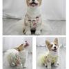 Summer Thin Pet Clothes Fluffy Skirt Than Bear Teddy Puppy Dress Dog Princess Dress