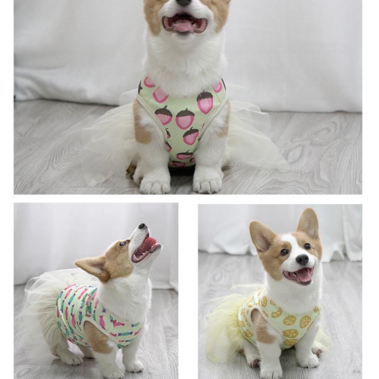Summer Thin Pet Clothes Fluffy Skirt Than Bear Teddy Puppy Dress Dog Princess Dress