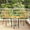 319428 vidaXL Garden Chairs 2 Pcs 48x62x84 Cm Woven Resin