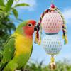 Colorful Hamster Grinding Stone Bite Resistant Bird Chew Stone Parrot Teething Toy  Bird Training