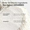 ANUA Rice Enzyme Cleansing Powder 40g Skincare