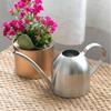 Gießkanne mit langem Ausguss aus Edelstahl für Sukkulenten und Topfpflanzen-Gartenarbeit