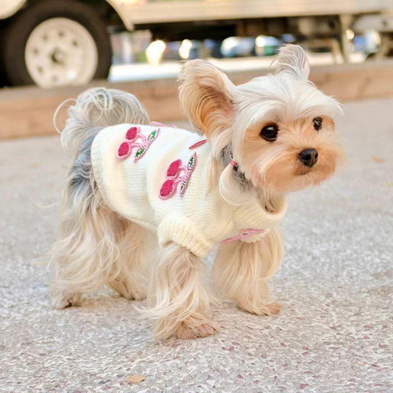 Kleiner Hund Teddy Pullover Malteser Frucht-Print Kleidung Haustier Niedlich Kirsch-Print Winter Warme Kleidung Niedlich Prinzessin Haustier Hund Katze Pullover