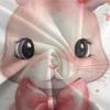 Cartoon rabbit bedding set with 3D printing for children and adults, luxurious ultra-fine fiber soft down duvet cover with zippe