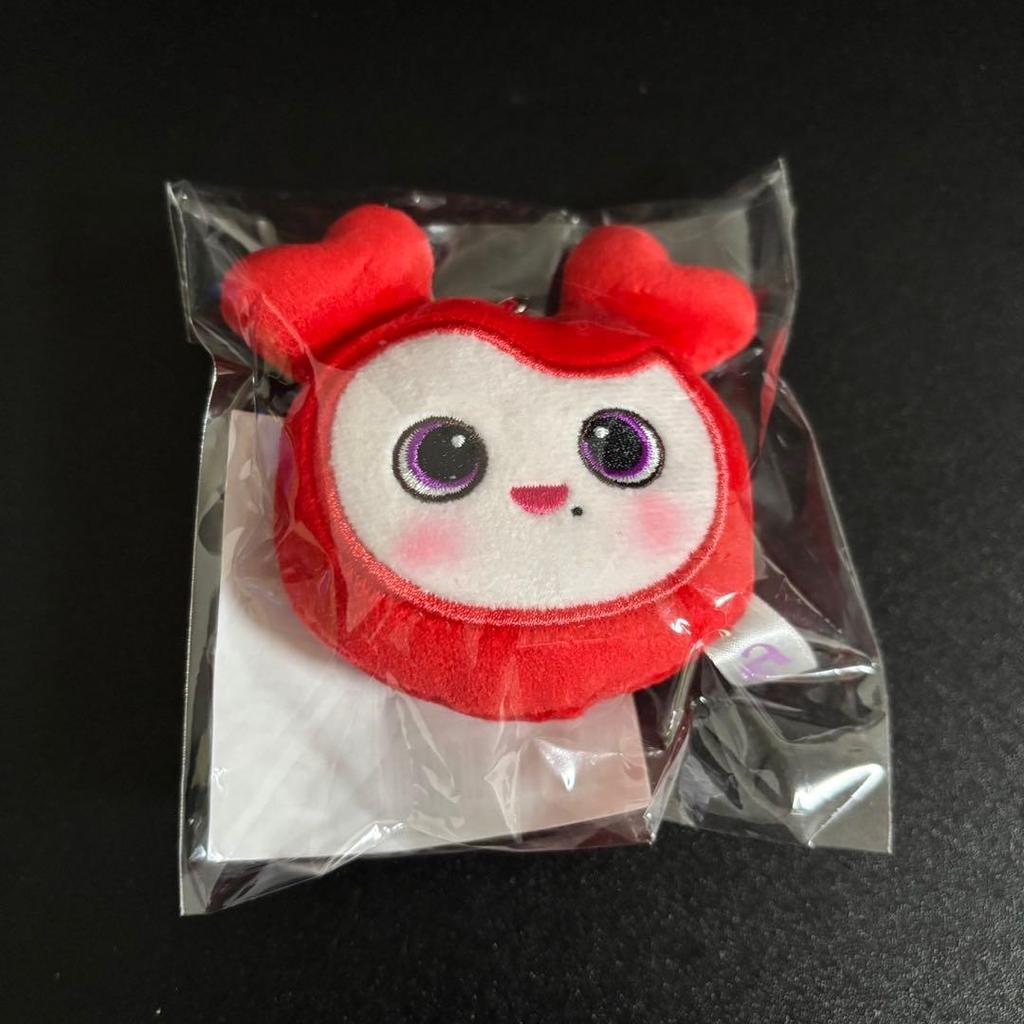 [USED] TWICE Chaeyoung THIS IS FOR Face Key Ring LOVELY