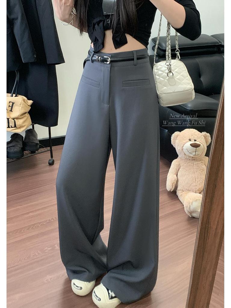 High-Grade Gray Wide-Leg Suit Pants - Women's Spring 2026 Drape Loose, Floor-Length Casual Trousers