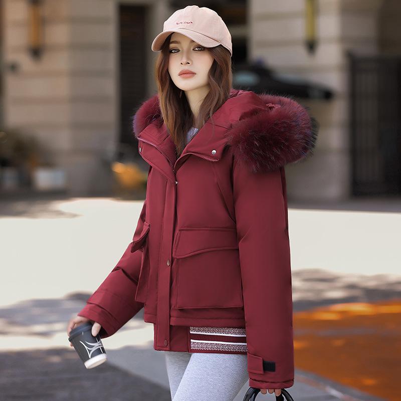 Down Cotton Clothes Tooling Pie Overcomes the New Women's Autumn and Winter Padded Jacket Thickened Hooded Cotton-padded Coat
