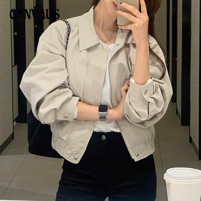 Damen Einfarbiges Revers Locker Langärmelig Kurze Jacke