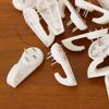 20 Mounting Hooks for Photo Picture Frame Plates Hanging