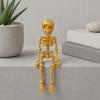 3D Printed Skeleton Refrigerator Magnet, Poseable Skeleton Figurine with Movable Joints, Halloween Gothic Skeleton Fridge Magnet Decoration