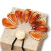 Chinese Zither Nail Covers Practical Musical Plectrum 8pcs Guzheng Finger Picks Classical Stringed Instrument Accessories