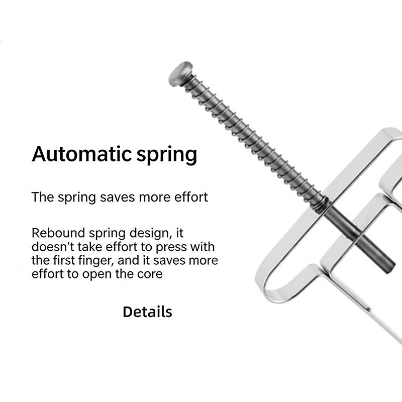 Stainless Steel Jujube Pit Remover Household Hawthorn Core Extractor Multi-Functional Tool