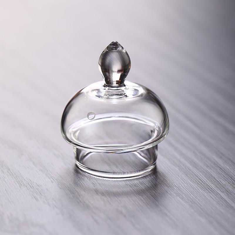 Yipan High Borosilicate Glass Teapot