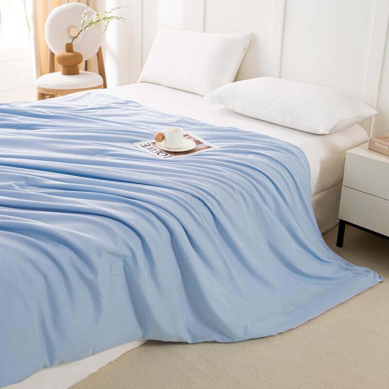 PAUI DAVID Aivi Bentley Blue All-Season Comfort Quilt