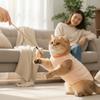 Adjustable Cat Recovery Suit Thin Cat Weaning Suit Cute Anti-scratch Care Clothes  for Small Dog