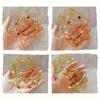 Variety Mandala Flower Basket with Many Changes Waiting for You To Explore - Wire Magic Ring Rotating Ornaments, Creative Wire Art Decorating