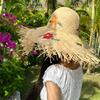 Hollowed-out Raffia Straw Hat for Women, New Seaside Beach Hat, Summer Large Brim Woven Sunshade Hat