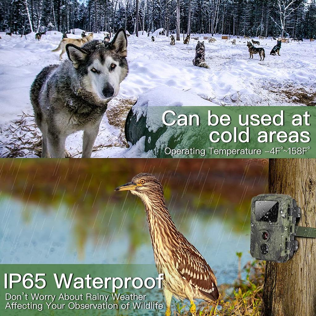 4pcs/1lot Trail Hunting Camera 20mp 1080p Infrared Outdoor Mini Cameras Mini600 Night Vision Po Traps Monitoring Cam Tracking