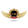Unique  Emblem Sticker Compact 3D VIP Emblem Sticker Exquisite Workmanship Self Adhesive Car 3D Decal for Car