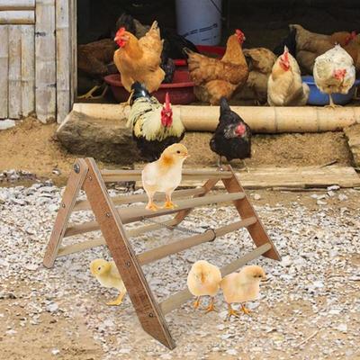 Percha de Madera para Pollitos Juguetes de Madera para que se Paren los Pollos Gimnasio de Madera para Pollitos Percha para Aves Grandes Loro