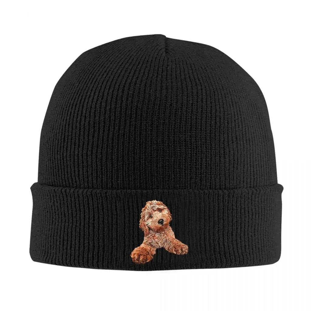 King Boo Warme Strickmütze Hip Hop Beanie Mütze Herbst Winter Outdoor Mützen für Unisex Damen Erwachsene