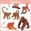 Monkey Simulated Animal Model Toy For Educational Use Figurines Collectible
