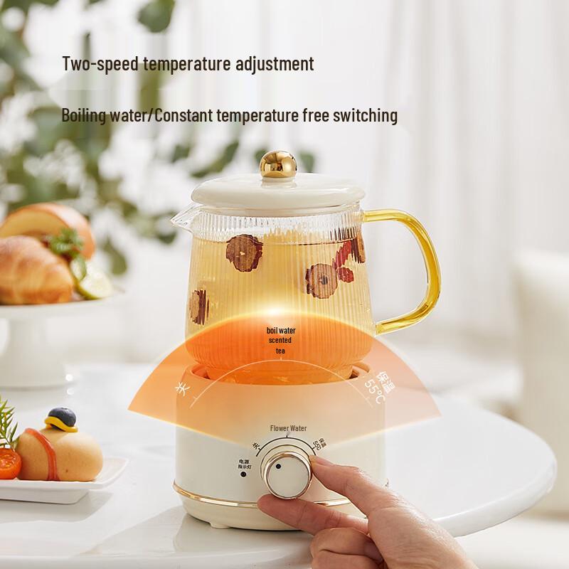 OIMG Thermostatic Glass Electric Kettle