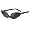 Classic Cat Hot Eye Sunglasses Small Retro Vintage Women Fashion Shades Eyewear