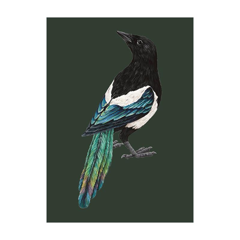 American Magpie Painting Vintage Creature Wall Art Canvas Print Poster Colorful Bird Picture for Living Room Home Decor Cuadros
