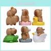 Capybara Mikrolandschaft Figur PVC Spielzeug mit Schildkröte Gans Ente Design für Heim Büro Dekoration und Geschenk