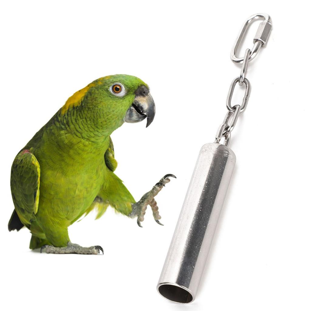Squirrel Bells Stainless Steel Bells Toys for Birds Large Parrot African Greys Macaws
