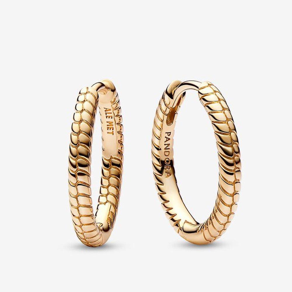 Pandora Moments Small Charm Hoop Earrings 262728C00