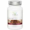 Vitafair Cordyceps Sinensis Extract 1000 Mg 90 Capsules