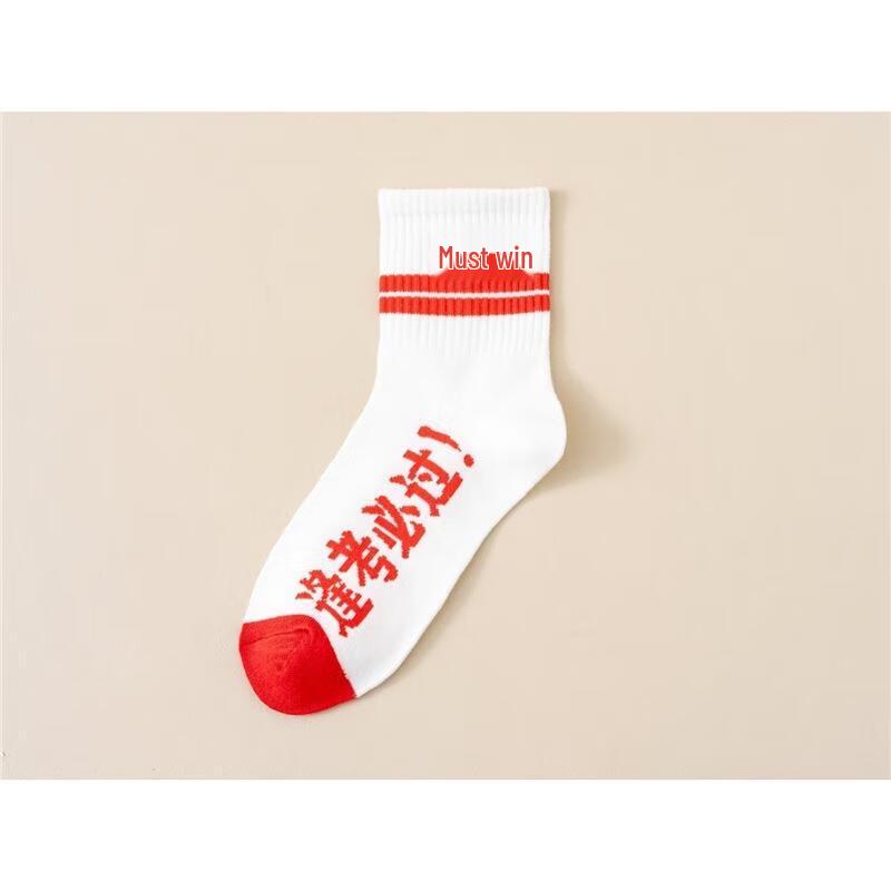 Gureide Inspirational Exam Success Socks