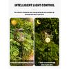 1 Solar Lamp, Featuring Moon And Star Patterns, An Outdoor Garden Decoration Lamp, An Iron Lamp For The Courtyard, A Party Gift