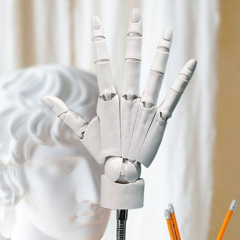 Biomimetic Hand Joint Finger Manikin Hand Articulated Hand For Displaying Hand Model  Kids Gift