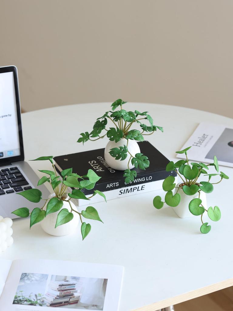 Miniature Succulent Bonsai Desk Ornament: Green Plant Props for Home or Office Decor